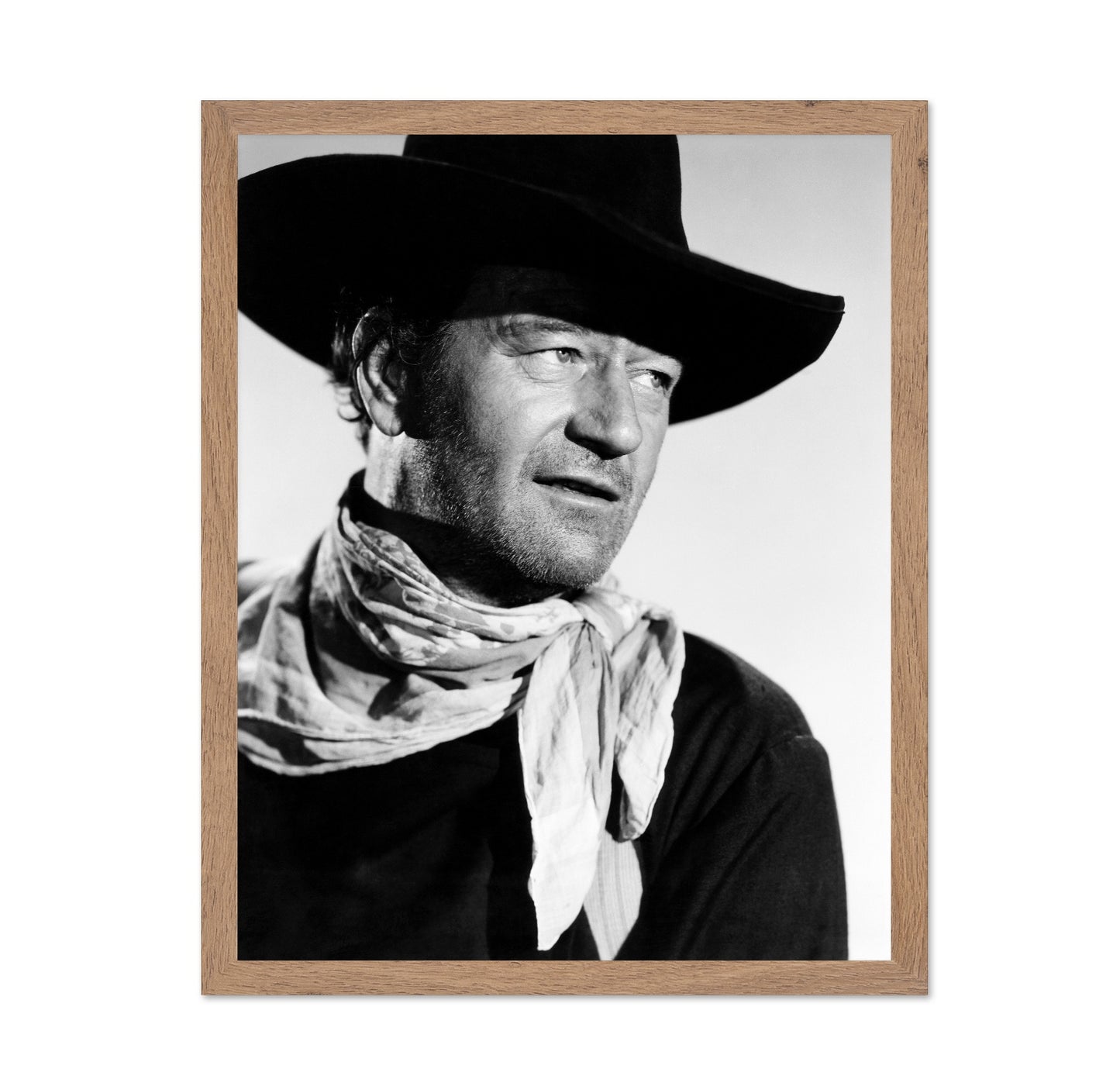 The Searchers 1956 John Wayne No8