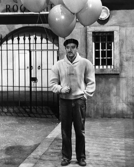A Shot In The Dark 1964 Peter Sellers No7
