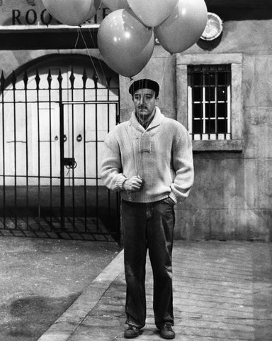 A Shot In The Dark 1964 Peter Sellers No7