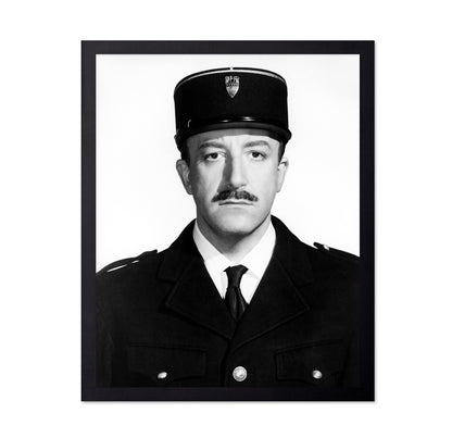 A Shot In The Dark 1964 Peter Sellers No8