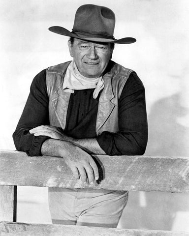 The Sons of Katie Elder 1965 John Wayne