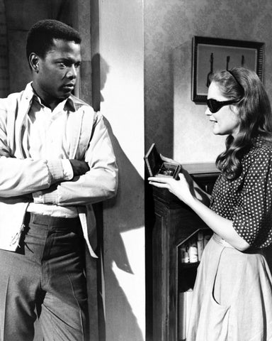 A Patch of Blue 1965 Sidney Poitier No5