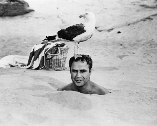 Bedtime Story 1964 Marlon Brando No1