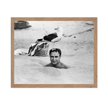 Bedtime Story 1964 Marlon Brando No1
