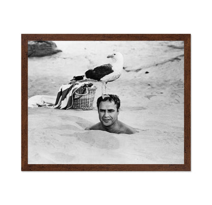 Bedtime Story 1964 Marlon Brando No1