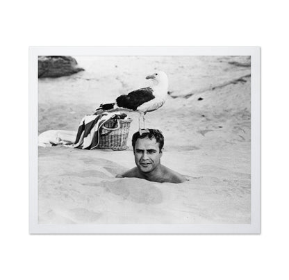 Bedtime Story 1964 Marlon Brando No1