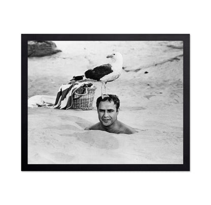 Bedtime Story 1964 Marlon Brando No1