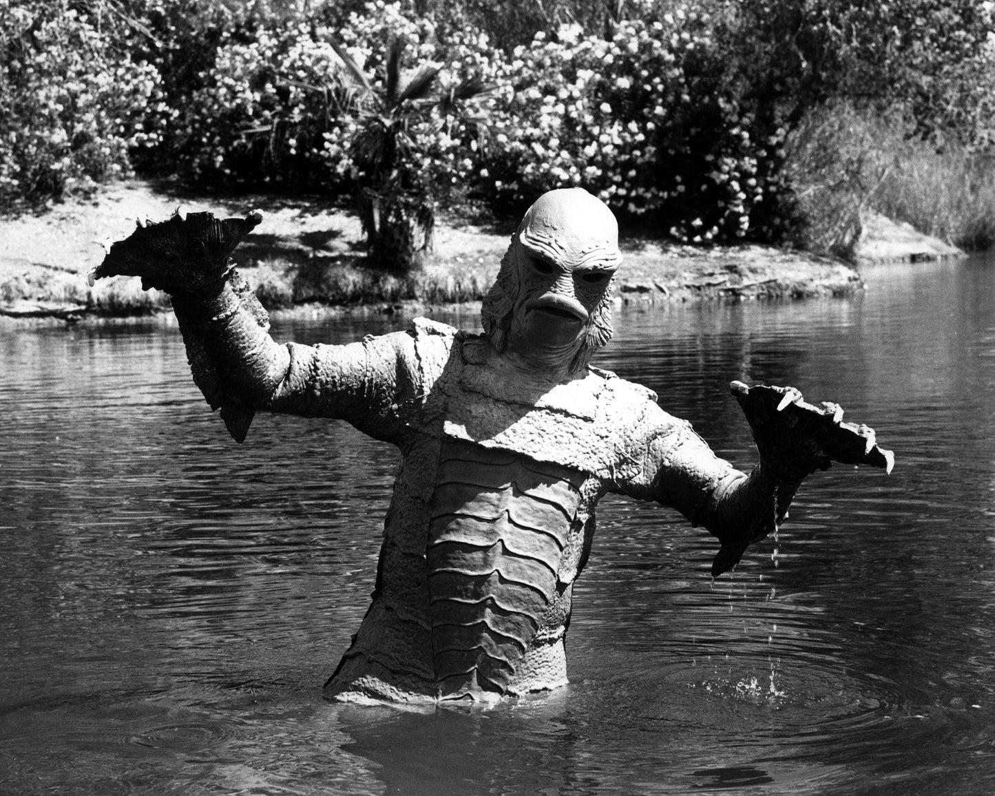 Creature From The Black Lagoon 1954 No2