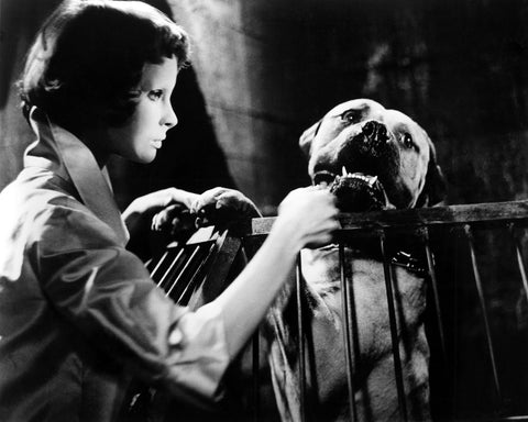 Eyes Without A Face 1960 Edith Scob No2