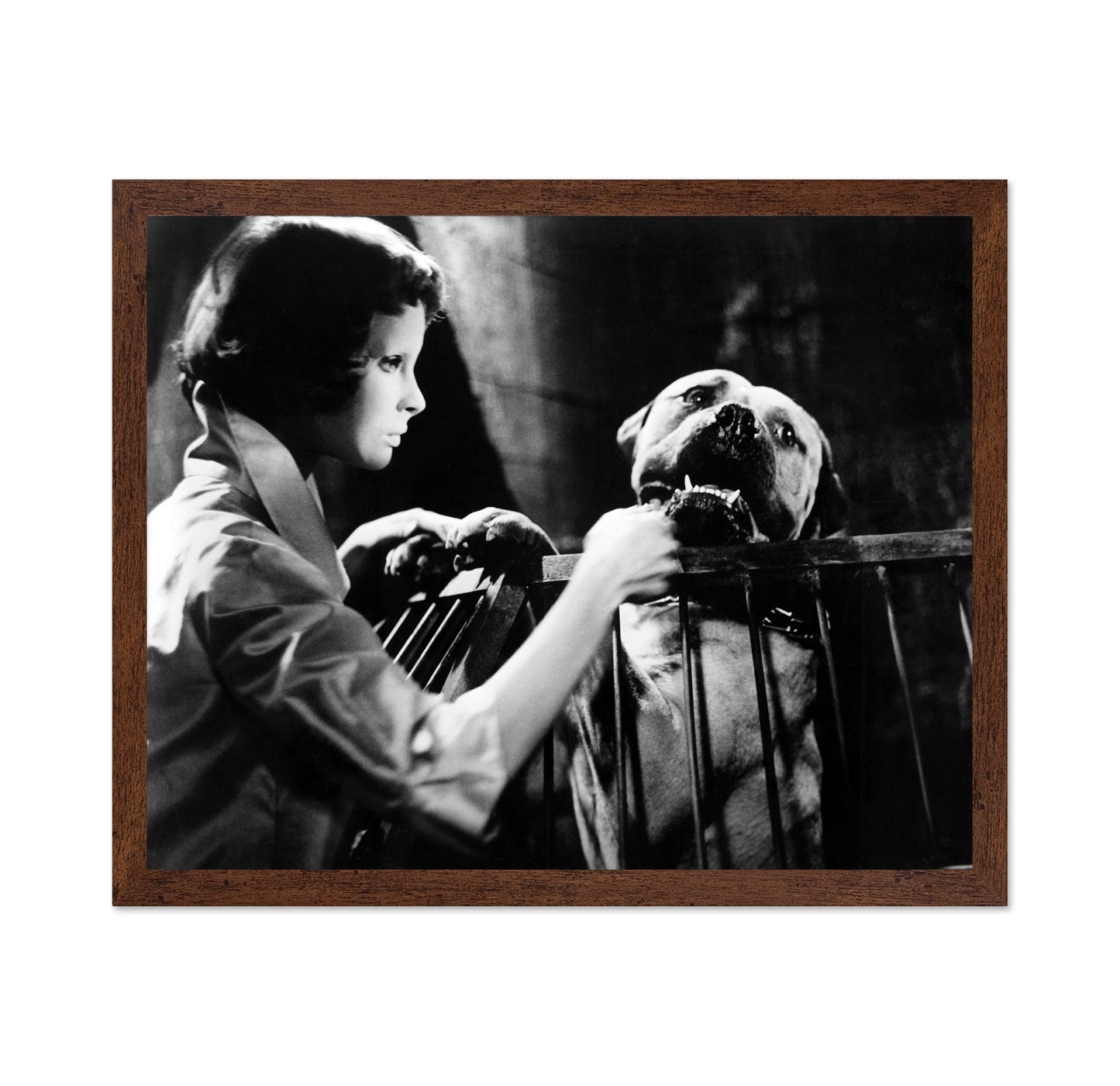 Eyes Without A Face 1960 Edith Scob No2