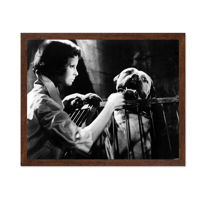 Eyes Without A Face 1960 Edith Scob No2