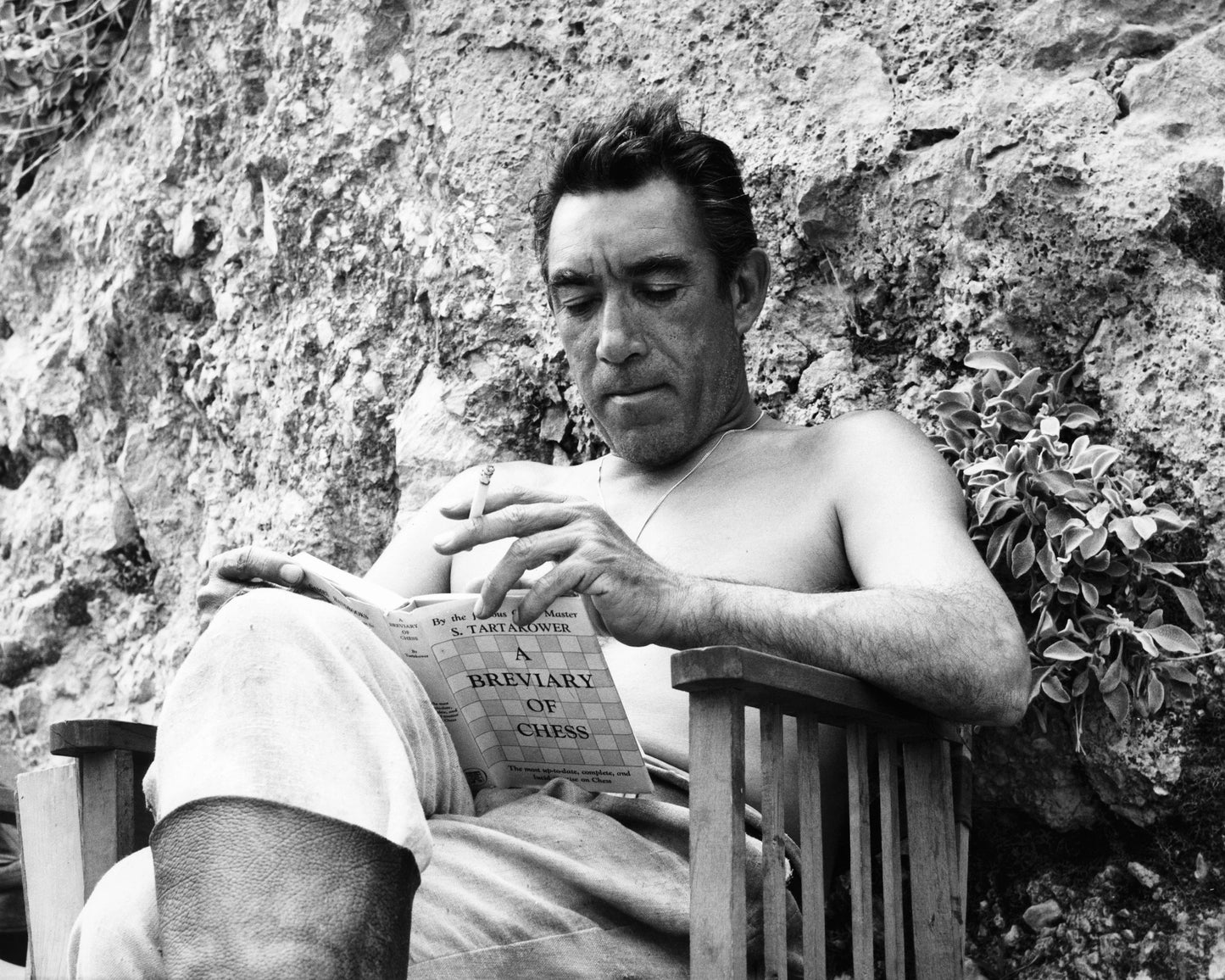 The Guns of Navarone 1961 Anthony Quinn No4