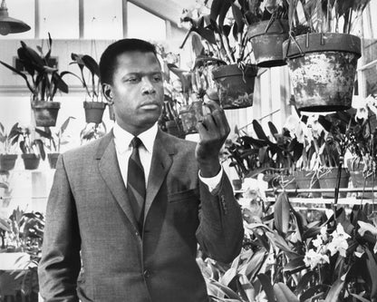 In the Heat Night 1967 Sidney Poitier No3