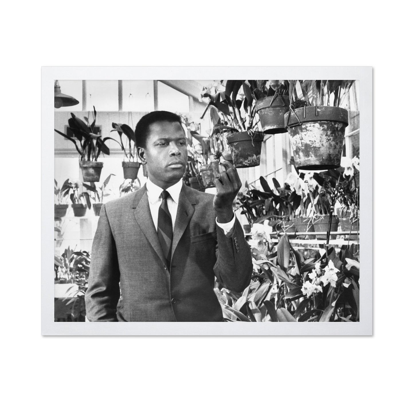 In the Heat Night 1967 Sidney Poitier No3
