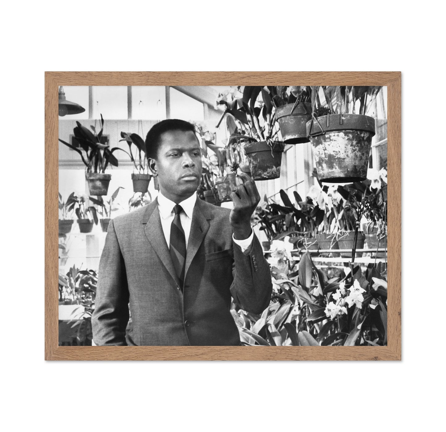 In the Heat Night 1967 Sidney Poitier No3