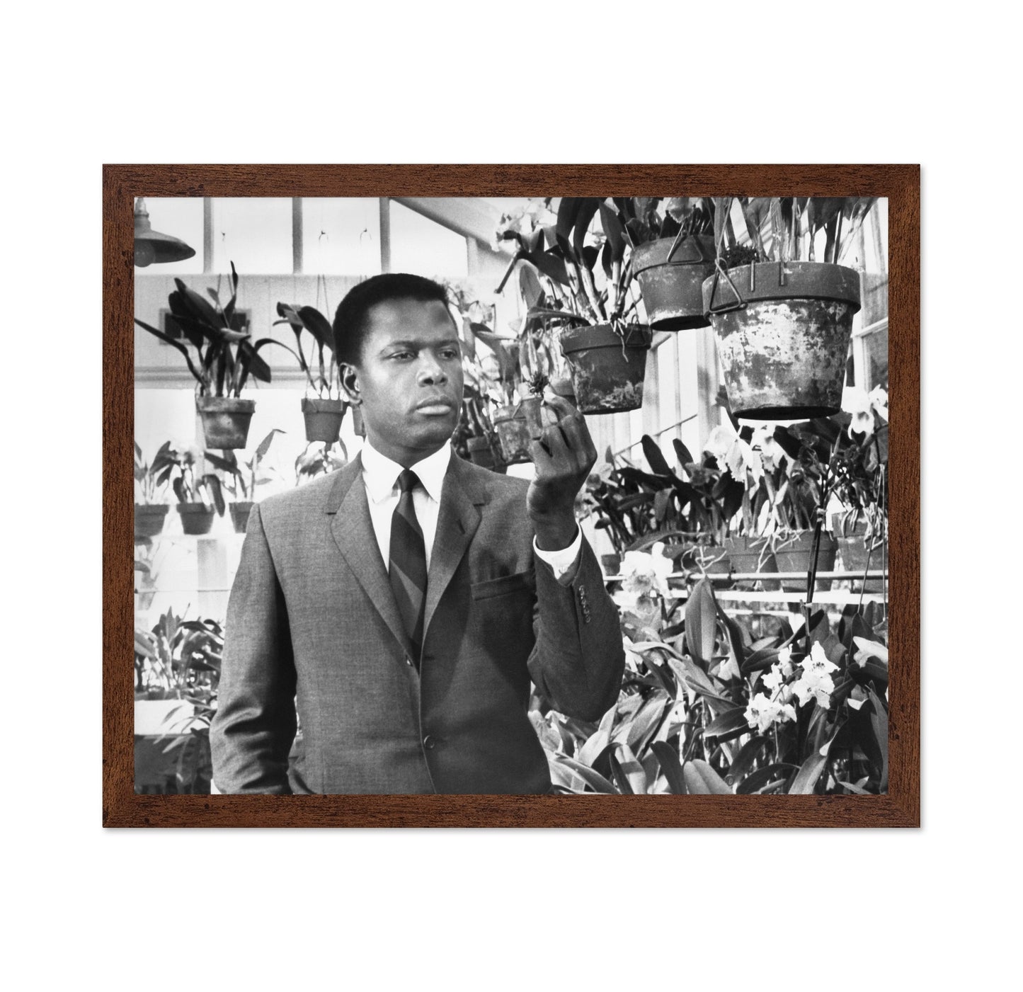 In the Heat Night 1967 Sidney Poitier No3