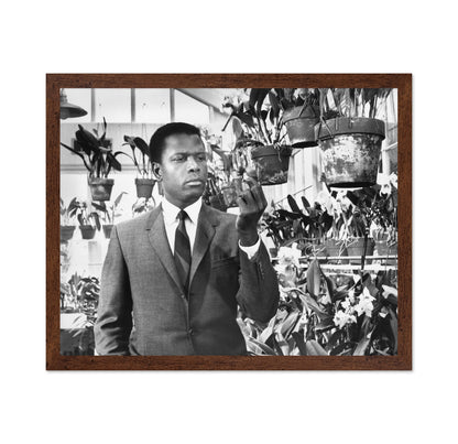 In the Heat Night 1967 Sidney Poitier No3