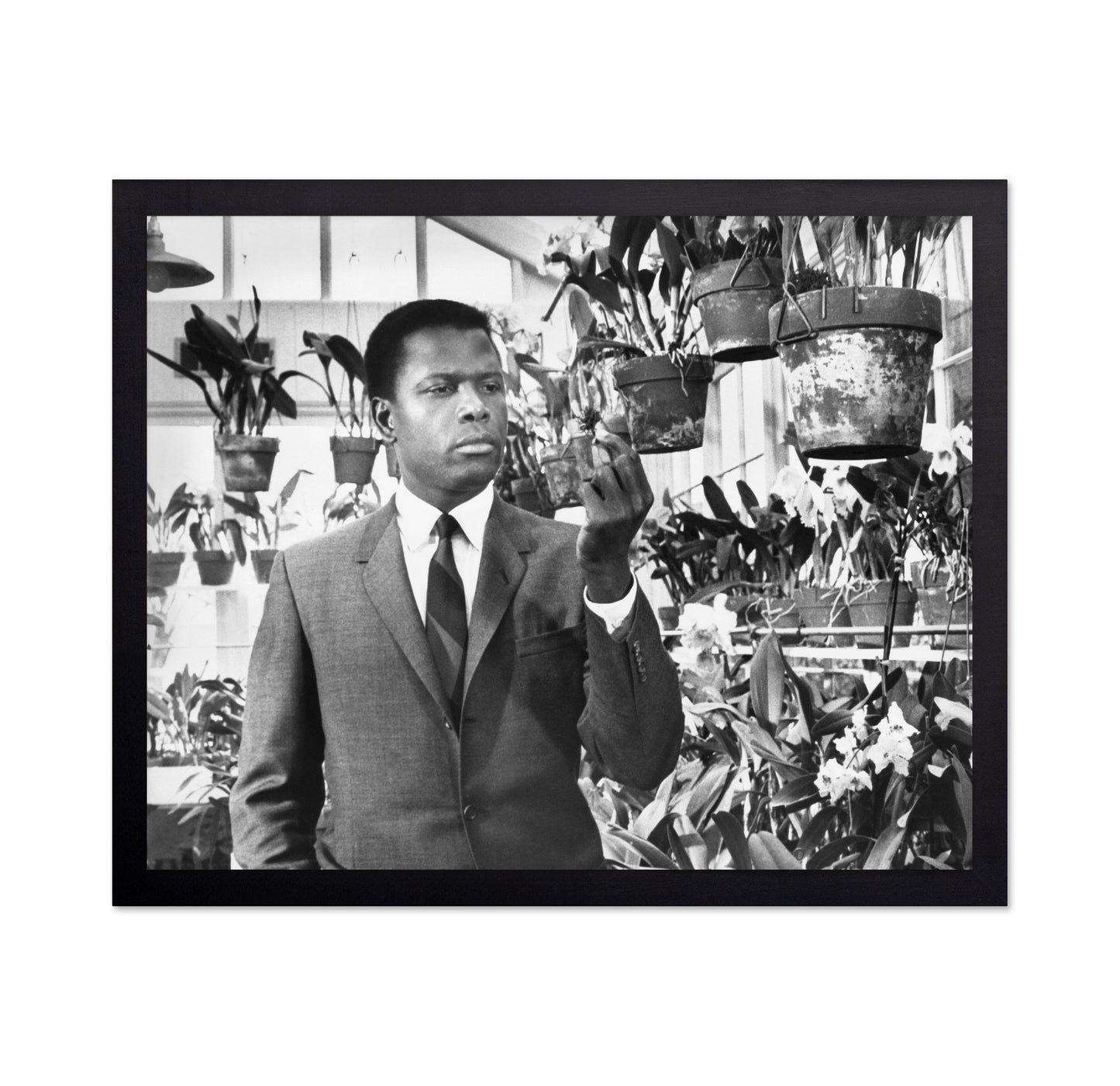 In the Heat Night 1967 Sidney Poitier No3