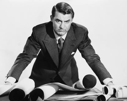 Mr Blandings Builds His Dream House 1948 Cary Grant No1