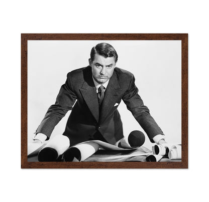 Mr Blandings Builds His Dream House 1948 Cary Grant No1
