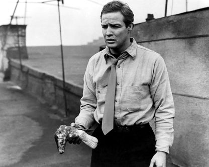 On the Waterfront 1954 Marlon Brando No3