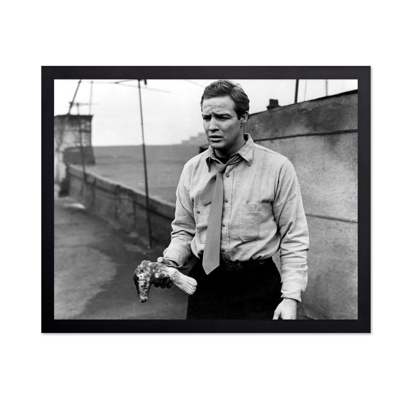On the Waterfront 1954 Marlon Brando No3
