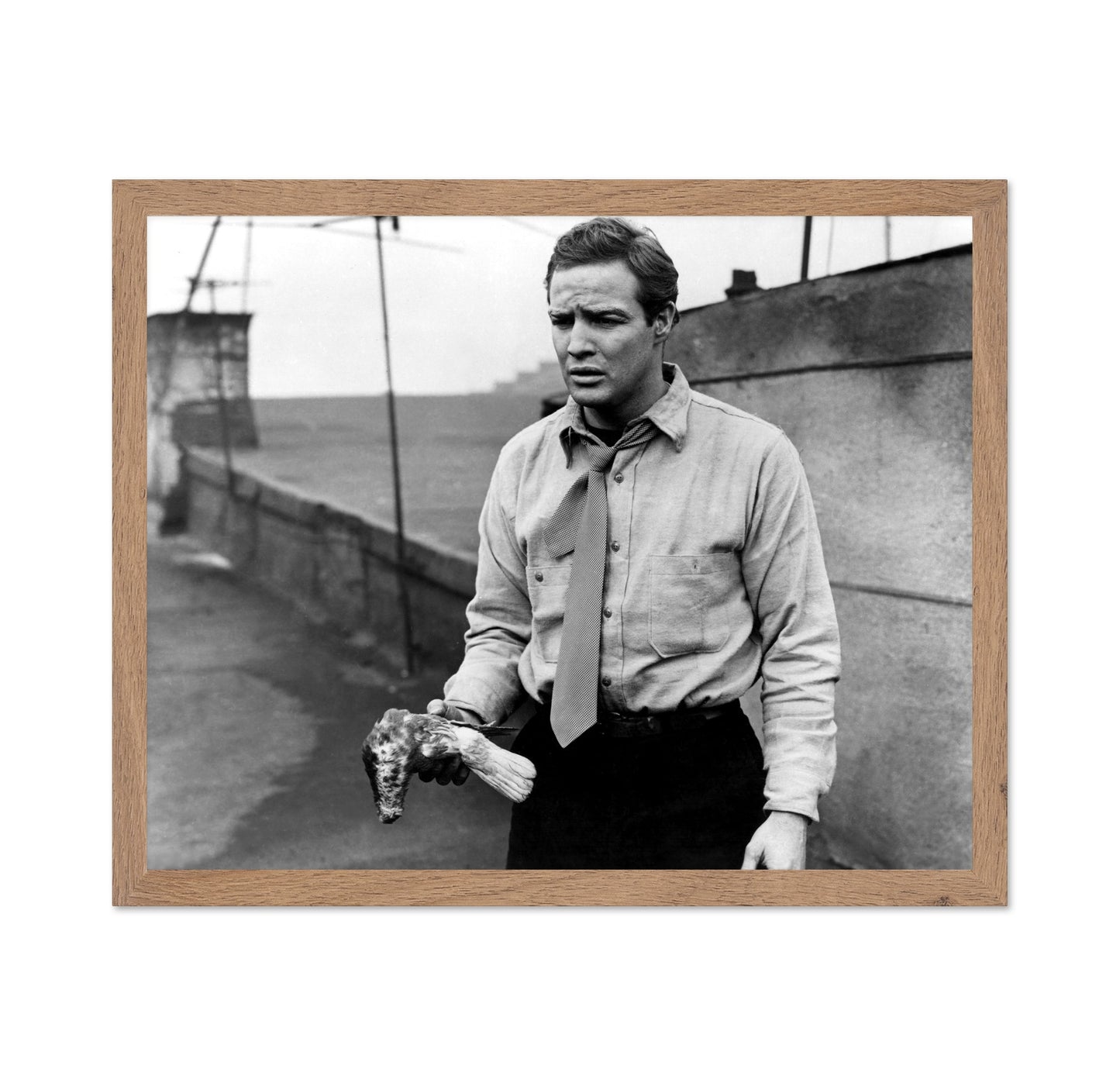 On the Waterfront 1954 Marlon Brando No3
