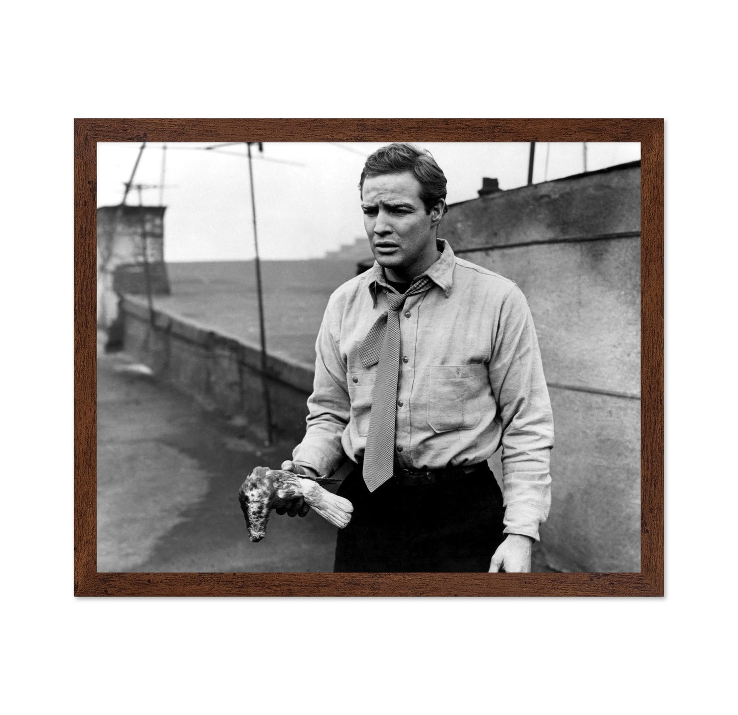 On the Waterfront 1954 Marlon Brando No3