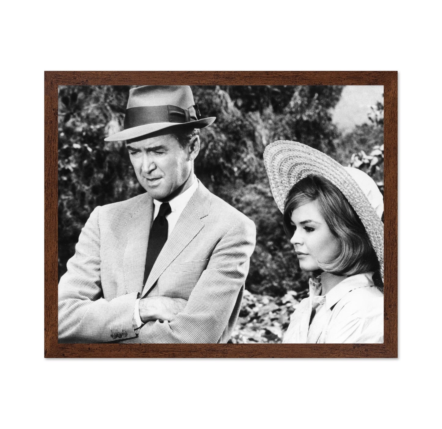 Take Her She's Mine 1963 James Stewart No2