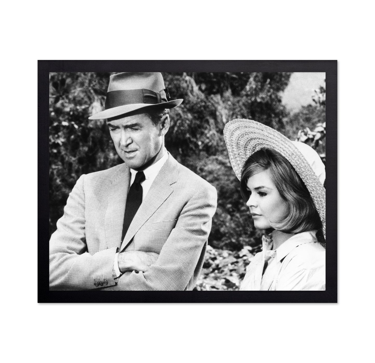 Take Her She's Mine 1963 James Stewart No2
