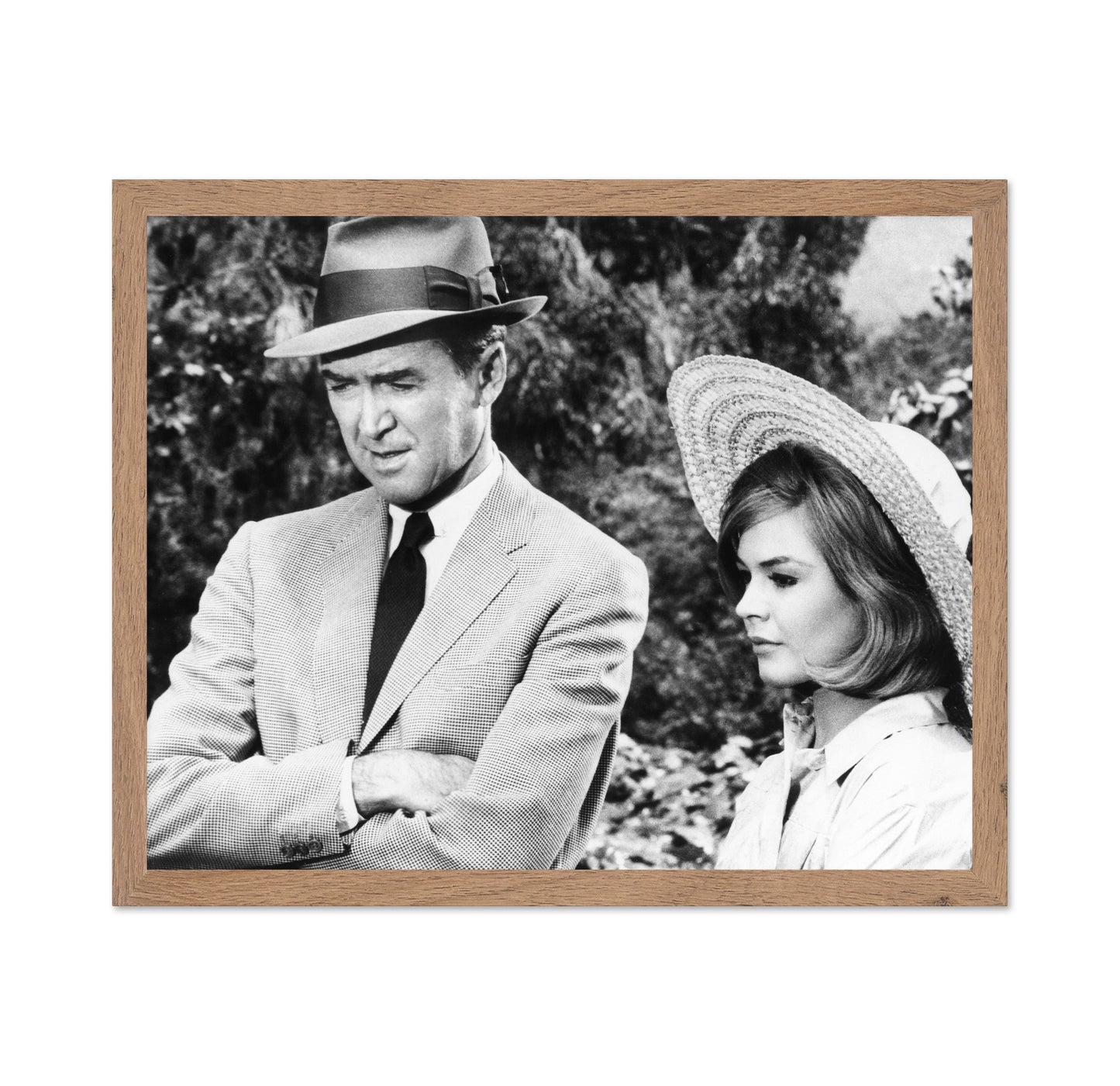 Take Her She's Mine 1963 James Stewart No2