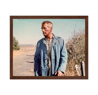 Cool Hand Luke 1967 Paul Newman No5