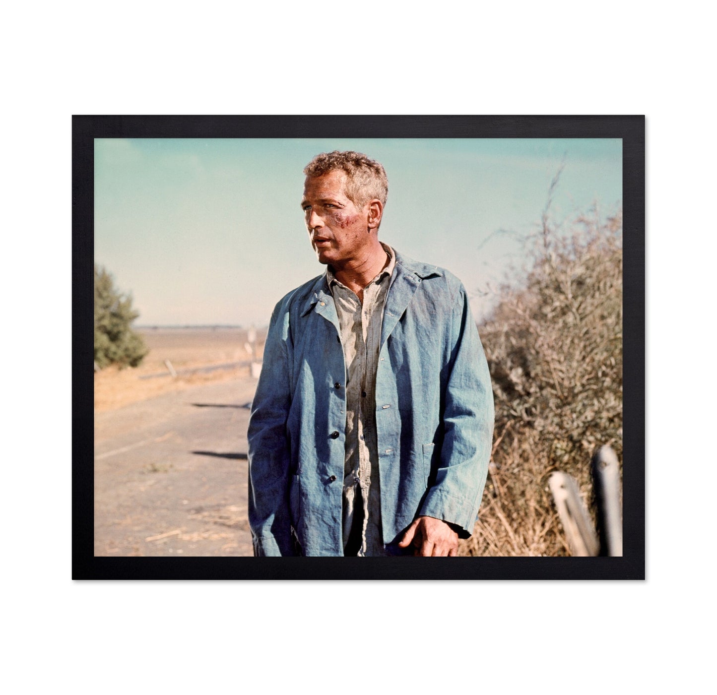 Cool Hand Luke 1967 Paul Newman No5