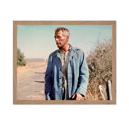 Cool Hand Luke 1967 Paul Newman No5