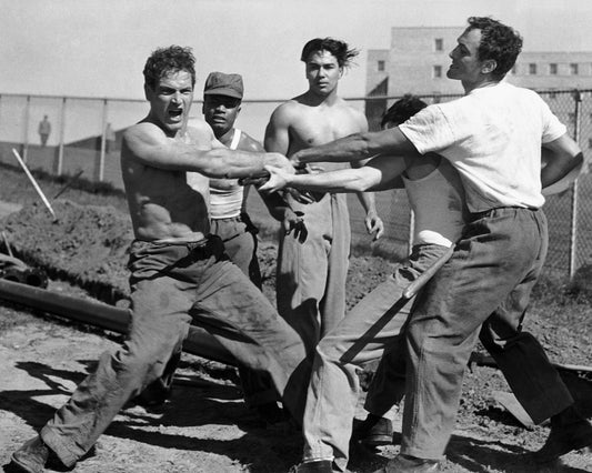 Somebody Up There Likes Me 1956 Paul Newman No1