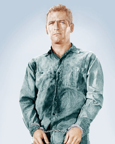 Cool Hand Luke 1967 Paul Newman