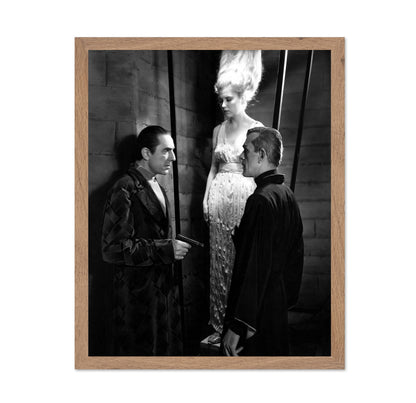 The Black Cat 1934 Bela Lugosi No3