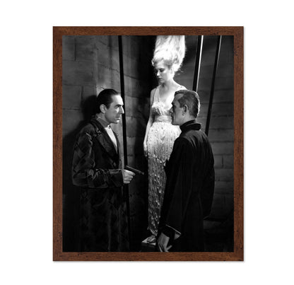 The Black Cat 1934 Bela Lugosi No3