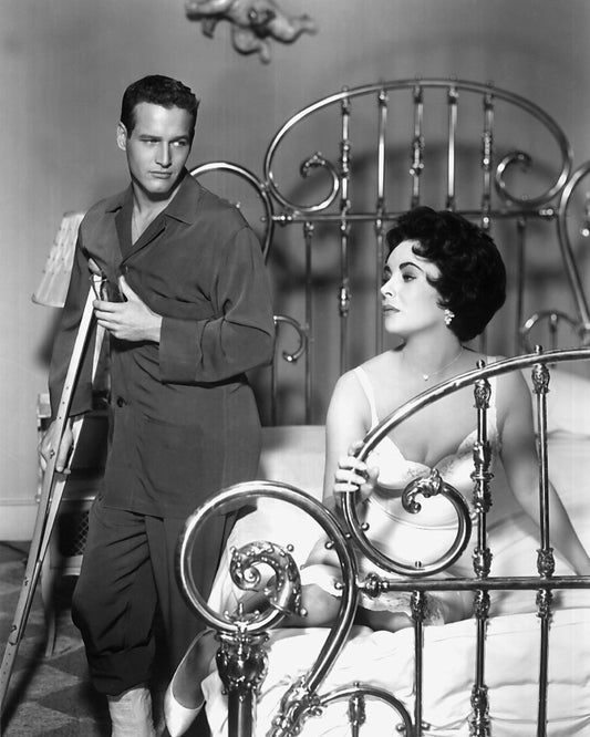 Cat On A Hot Tin Roof 1958 Paul Newman No3