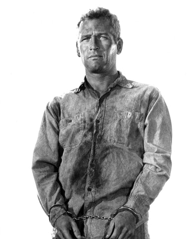 Cool Hand Luke 1967 Paul Newman No2