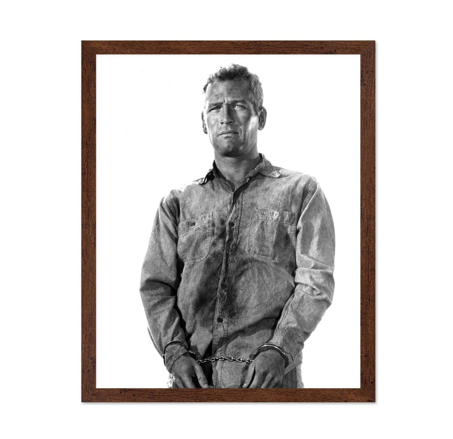 Cool Hand Luke 1967 Paul Newman No2