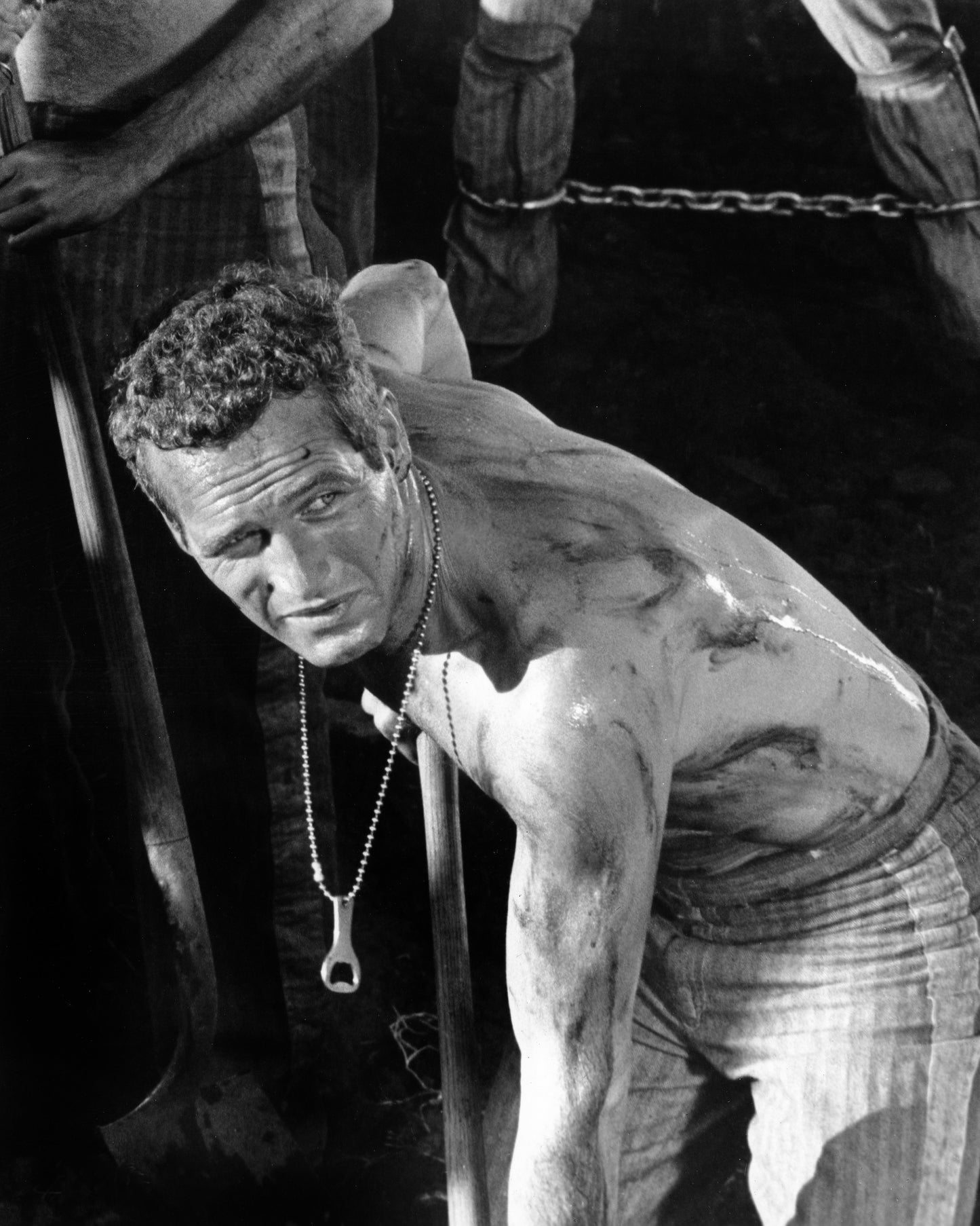 Cool Hand Luke 1967 Paul Newman No4