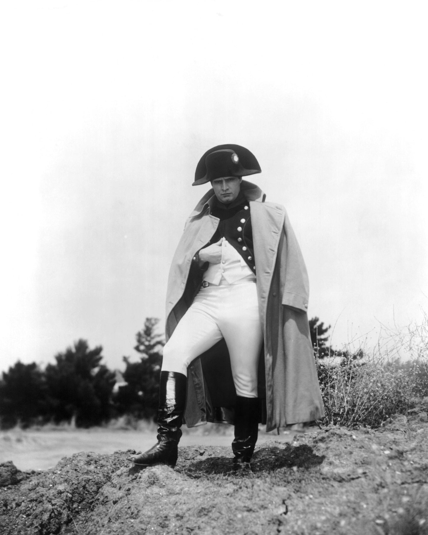 Desiree 1954 Marlon Brando No6