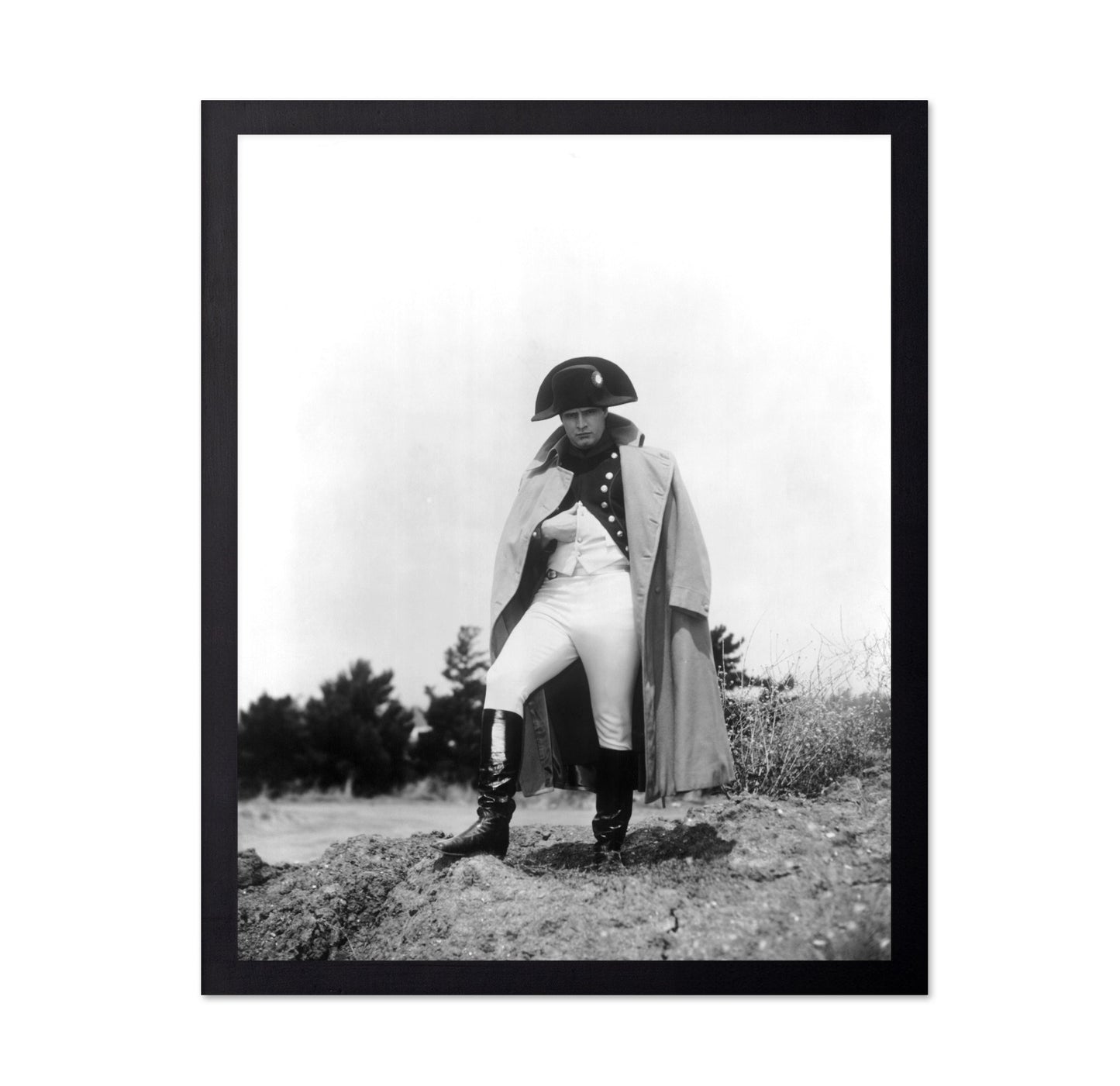 Desiree 1954 Marlon Brando No6