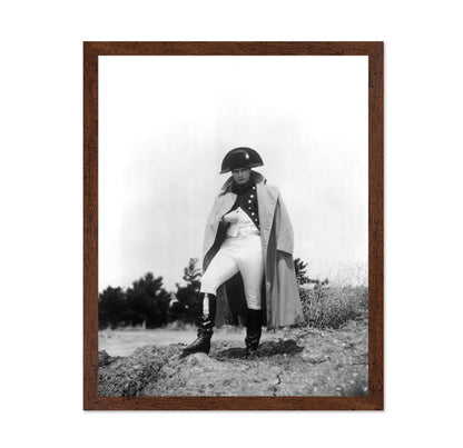 Desiree 1954 Marlon Brando No6