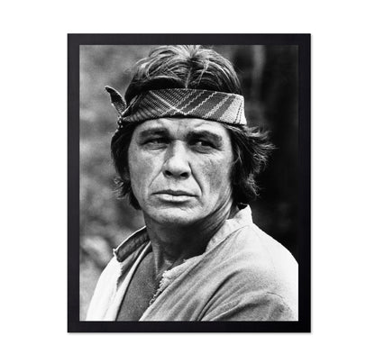 Guns For San Sebastian 1968 Charles Bronson No2