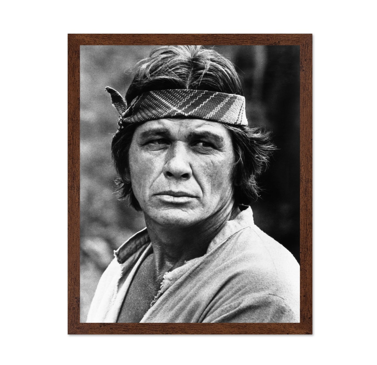 Guns For San Sebastian 1968 Charles Bronson No2