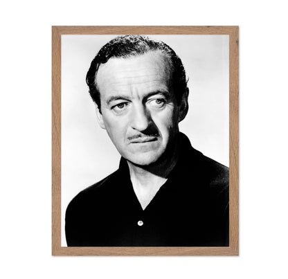 The Guns of Navarone 1961 David Niven No2