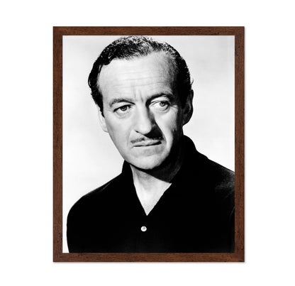 The Guns of Navarone 1961 David Niven No2
