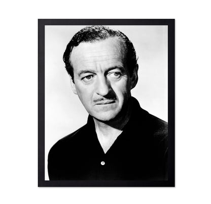 The Guns of Navarone 1961 David Niven No2